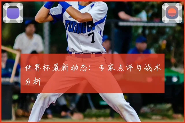 世界杯最新动态：专家点评与战术分析