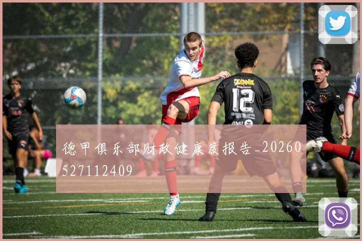 德甲俱乐部财政健康度报告_20260527112409