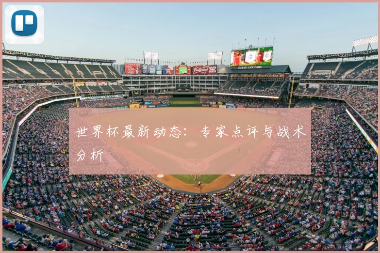 世界杯最新动态：专家点评与战术分析