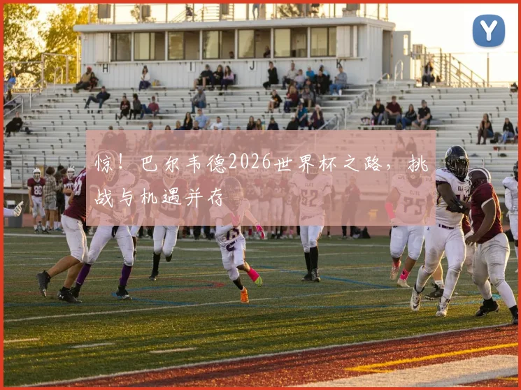 惊！巴尔韦德2026世界杯之路，挑战与机遇并存