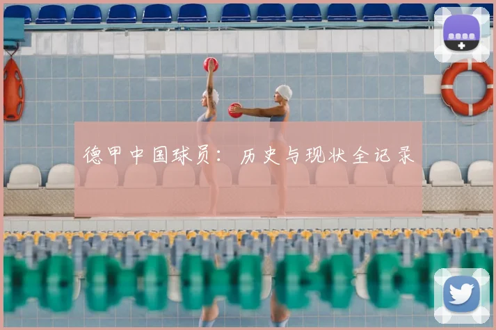 德甲中国球员：历史与现状全记录